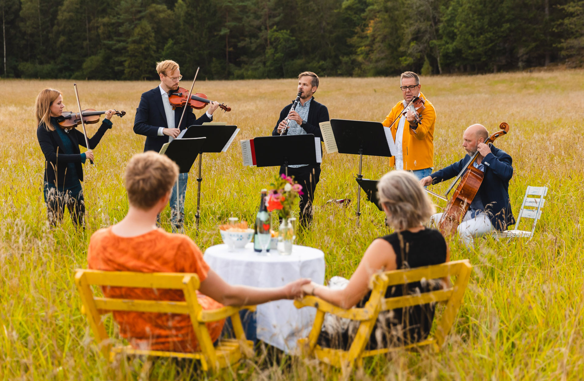 En stråkkvintett spelar i gröngräset framför två personer som sitter och lyssnar.