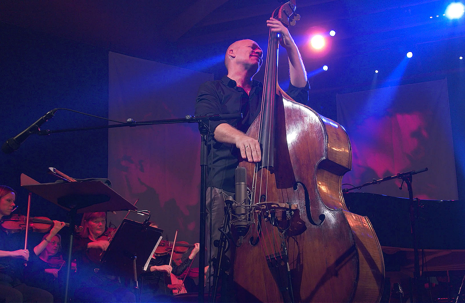 Jazzbasisten Avishai Cohen på scenen i blått ljus tillsammans med Symfonikerna, han ser nöjd ut.