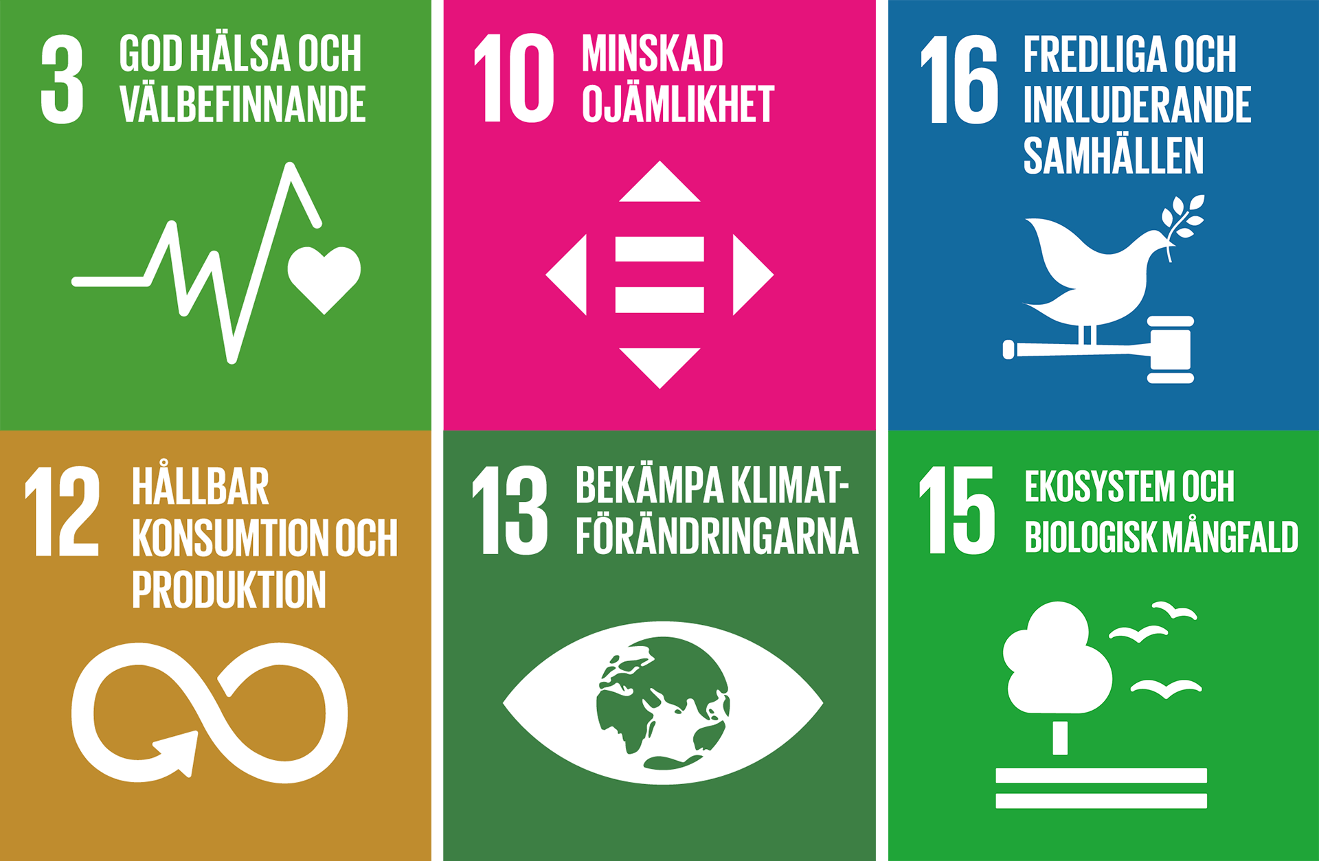 Mål nr 3: God hälsa och välbefinnande, Mål 10: Minskad ojämlikhet, Mål 16: Fredliga och inkluderande samhällen, Mål 12: Hållbar konsumtion och produktion, Mål 13: Bekämpa klimatförändringarna, Mål 15: Ekosystem och biologisk mångfald. 